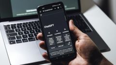 Language Community Culture Information Knowledge Sherbert