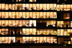 Systems Professionals Legal Professionals Practice Schilder System