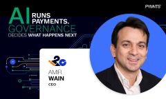 Governance Time Decision Payments Fraud Amir Wain