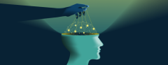 Companies Data Targets Acquisition Target Identification