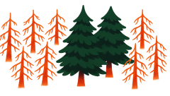 Content Signals Llms Traffic Updates Dates