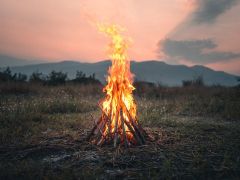 Customer Platforms Customers Experience Search Users