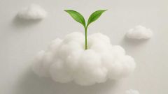 Cloud Feedback Platforms Innovation Platform Ecosystems